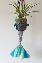 Mermaid Fish Vessel